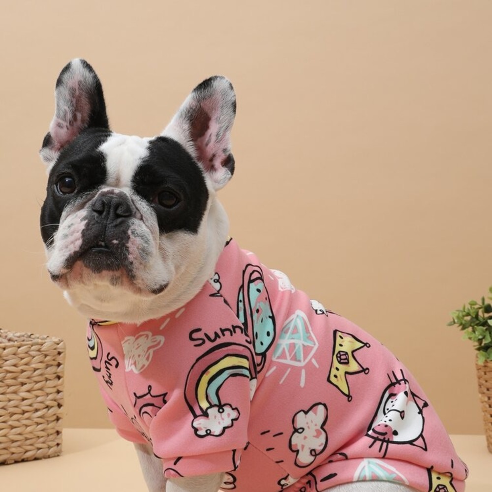 PETSIN cartoon graphic dog sweathshirt